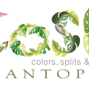 CoSH Plantopia